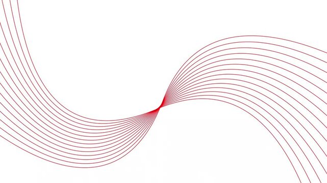 Geometric swirl line movement red color animation. Red pattern wavy line on white background. 