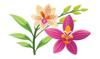 Elegant pink and cream orchid flower branch illustration