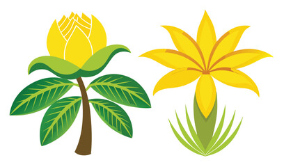 Two yellow flowers with green leaves illustration