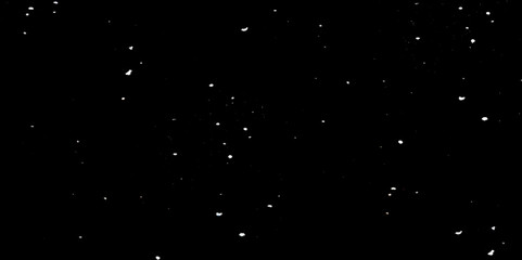 Snow flakes winter snowfall white light vector background. Christmas background, white snow on black background for edit photo.