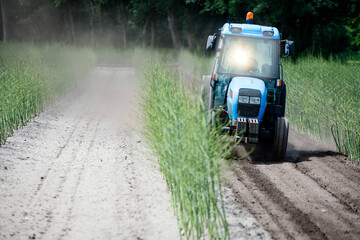 Farmer and his tractor working in an asparagus field before harvest.