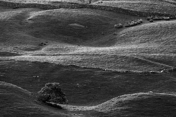 Undulating Yorkshire Dales landscape in high contrast black and white