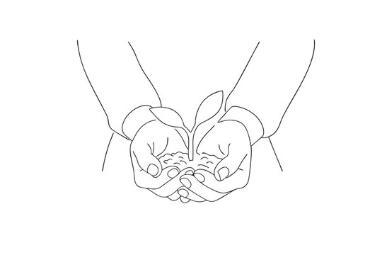 hands holding sprout, soil, black and white clip art preview