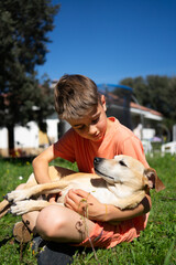 Child hugging his dog in a sunny garden, a portrait of friendship and love