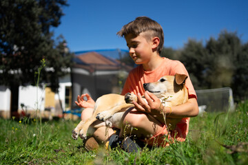 Boy meditating with dog on grass in backyard: practicing mindfulness together
