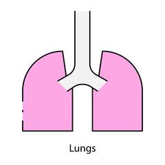 Lungs single icon vector illustration