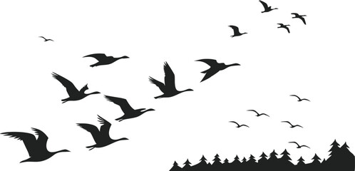flock of birds flying silhouette