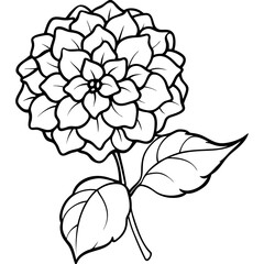 Fototapeta premium black and white flower