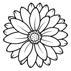 white flower isolated on black