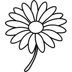 white daisy flower