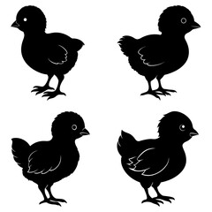 Baby Chick Silhouette vector illustration