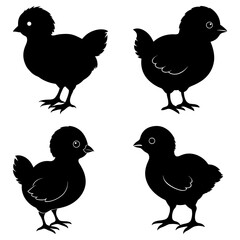 Baby Chick Silhouette vector illustration
