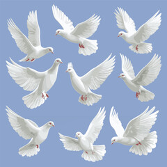 Pentecost Doves vector illustration set on isolated background
