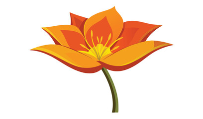 Single orange flower blossom illustration