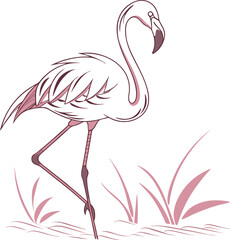 pink flamingo vector illustration