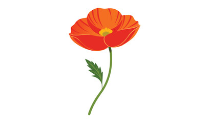 Obraz premium Single orange poppy flower with green stem and leaf