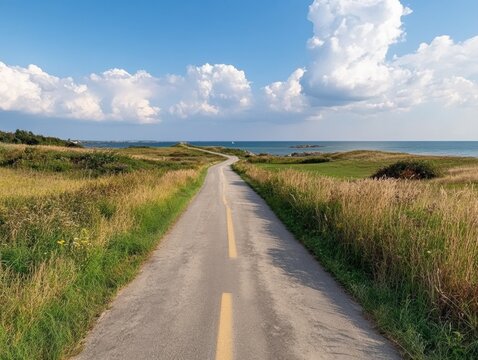 Serene coastal road surrounded by lush vegetation during daytime