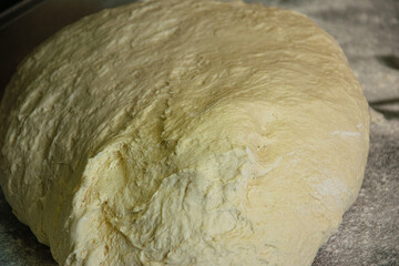 traditional bread making process: raw dough prepared for the oven