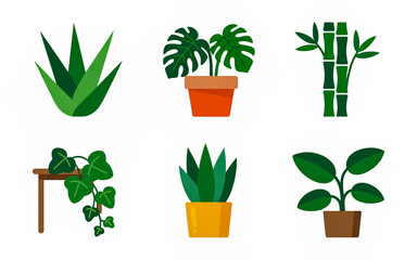 House plants vector illustration collection of indoor plants aloe monstera bamboo and more vector art 
