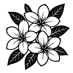 Obraz premium Monochrome vector illustration of a cluster of plumeria flowers with leaves, ideal for themes of tropical flora, beauty, or relaxation.