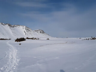 snow covered mountains