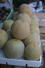 Small Balinese Melons at Local Street Fruit Market