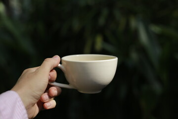 Male Hand Holding White Cup with Blurred Natural Background