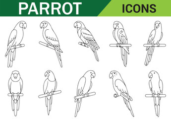 Simple Parrot Illustration – Detailed Line Art of Bird on Branch