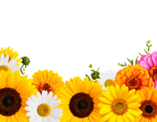  “Bright Summer Flowers on Gradient Yellow Background, PNG”