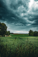 Dichte Bewölkung und immer wieder Regenschauer über den Feldern und Wiesen