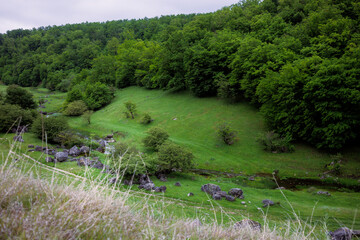 The magic of nature, a green and beautiful landscape.
