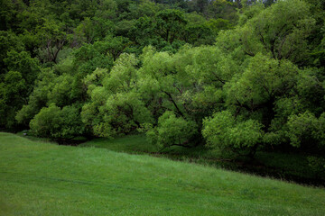 The magic of nature, a green and beautiful landscape.