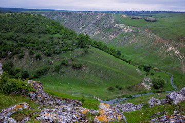 The magic of nature, a green and beautiful landscape.