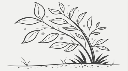 black and white flowers