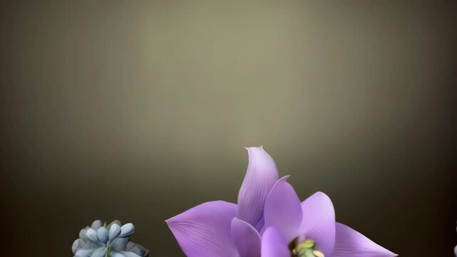 Close-up botanical arrangement featuring lilac hellebore flower, blue grape hyacinths, and indigo bellflowers, elegant and decorative