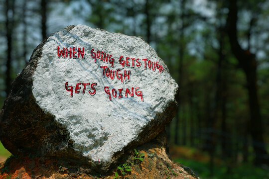 Motivational quote "When the going gets tough, the tough gets going" painted on a rock in a forest. Symbol of strength, resilience, and determination. Perfect for inspiration and motivation themes.