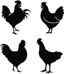 set of chicken vector silhouette