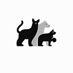 black and white cat