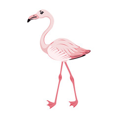 Beautiful pink flamingo Isolated. African birds. Children cute animal vector illustration.