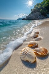 Seashells on a Sunny Beach