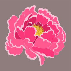 Pink delicate peony, vector illustration.