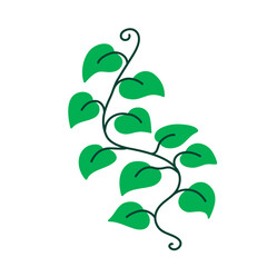 Leaf vector colorful on transparent background