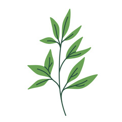 Leaf vector colorful on transparent background