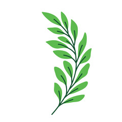 Leaf vector colorful on transparent background