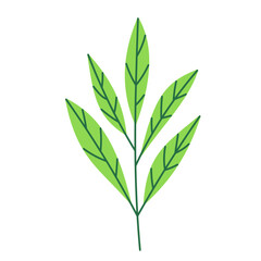 Leaf vector colorful on transparent background