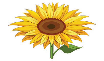 Fototapeta premium Vibrant single sunflower with green leaf