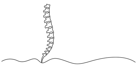 one line spine, Continuous one line drawing bones of human hand.  Wrist bones in single line art vector illustration. Editable stroke, Chiropractor spine. Continuous one line drawing on white back.