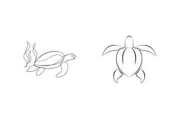 Minimalist line art illustrations of two sea turtles in different poses on a white background