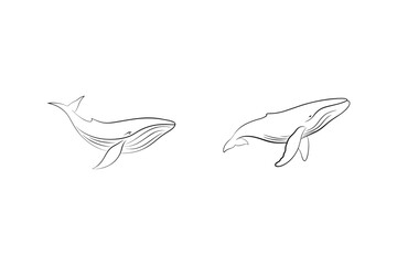 Minimalist black and white whale illustrations depicting marine mammals swimming in ocean waters
