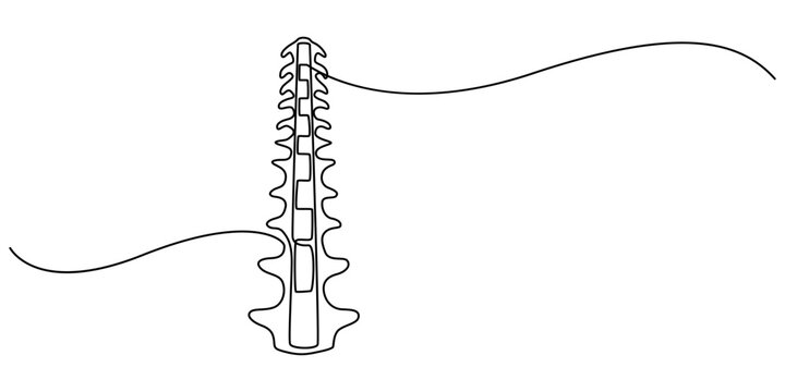 one line spine, Continuous one line drawing bones of human hand.  Wrist bones in single line art vector illustration. Editable stroke, Chiropractor spine. Continuous one line drawing on white back.
